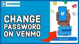How to Change Password on Venmo Account? Update Password for Venmo Account (2024)