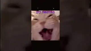 jab main 1v4 kar du tab Mera reaction 🤣😂 sumit gaming Sumit Gamer