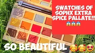 Makeup Revolution SophX Extra Spice Pallate Swatches 2019.Best Budget Friendly Eyeshaow Pallate Ever