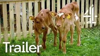 TRAILER | Meat the Family | Watch on All 4