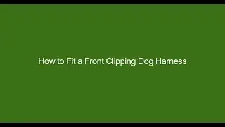 How to Fit a Front Clipping Dog Harness