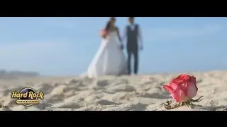 HARD ROCK Hotels & Casino wedding highlights by VPC - Wedding Films Punta Cana