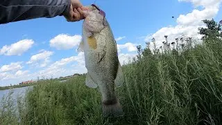 1st Wisconsin Bass Cashion Icon Doing Work