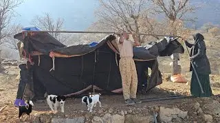 Nomadic Life in Winter | How Mountain Nomads Build Tents & Survive Extreme Cold