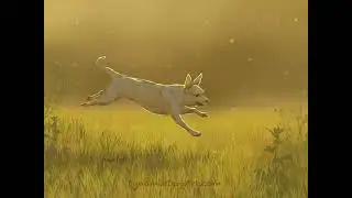 Full Art Process In 30 Seconds!