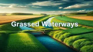 Grassed Waterways