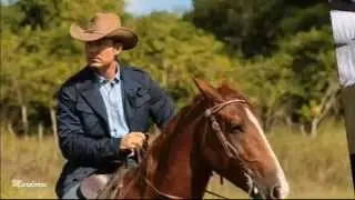 LADRONES  los modernos  Robin Hood mexicanos