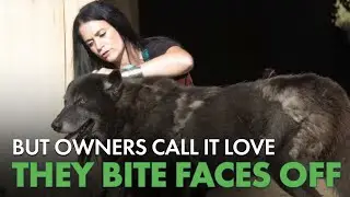 Wolf Trainers Reveal the Shocking Truth About Exotic Pets