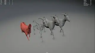 3D Goat Rig and animation breakdown