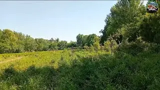 National Tea and High Value Crops Research Institute (NTHRI) Shinkiari, Mansehra, Mansehra, Pakistan