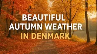 Beautiful Autumn 🍁 Weather in Denmark Peaceful Nature & Falling Leaves by Ali G Vlogs 