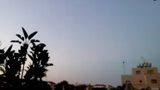 Bats Cyprus