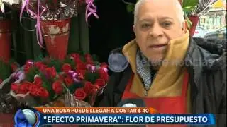 Pocas flores en esta primavera - Telefe Noticias