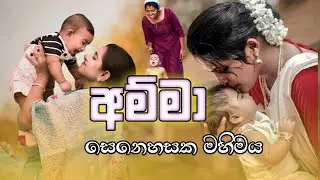 සෙනෙහසක මහිමය ❤️‍🩹🌍| Amma  |අම්මා  | sinhala new songs | moonbeat
