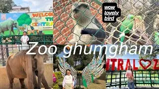 ZOO#ghumgham#plz subscribe My channel🙏🙏🙏Rojina Tamang-113