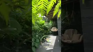 | Urban Oasis: Finding Tranquility in the City Jungle #UrbanLiving |