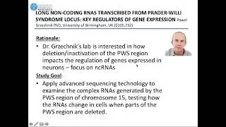LONG NON-CODING RNAS TRANSCRIBED FROM PRADER-WILLI SYNDROME LOCUS: KEY REGULATORS OF GENE EXPRESSION