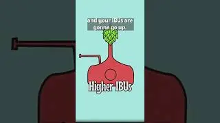 WTF is Dry Hopping
