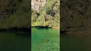 SWAIK Lake Kalar Kahar | Nature Lover #swaiklake #kalarkahar #newsong #animalloverofpakistan #nature