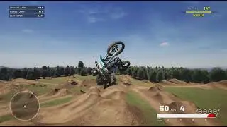 Trying to whip