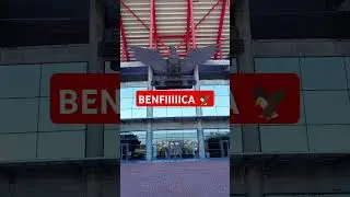 BENFICA! #benfica #football #soccer #fu&szlig;ball #futebol #shorts #footballshorts #eagle #stadium