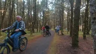 Virtual Run, Nehalem Bay State Park Bike Path, Oregon Coast near Manzanita in Tillamook County. 4K