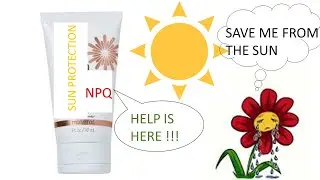 Нефотохимическое тушение (NPQ) объясняется менее чем за 5 минут