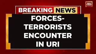 2 Terrorists Killed In Encounter In Jammu-Kashmir's Uri Sector, Search Operation Underway