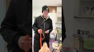 Potter opposition reflex lesson