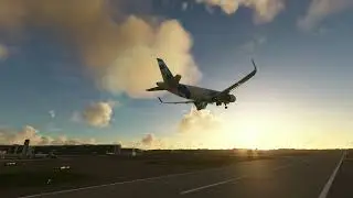 Microsoft Flight Sim 2020 using Replay Tool