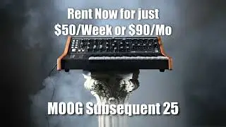 Check out our NEW Moog Subsequent 25