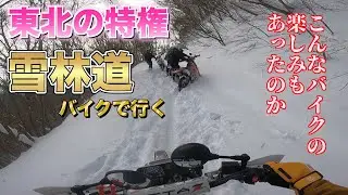 snow crash 雪道林道を初めて走ったら、とんでも無く大変だった。郵便屋がバイクで雪道走ってるの神業すぎるだろ。感謝しかない#セロー #モトブログ #automobile  #bike