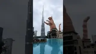 meao billi boli meao #funny #burjkhalifa #shortvideo