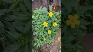 #nature #weather #insight #nepal