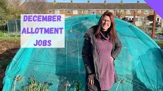 Allotment Jobs For December - Allotment Gardening For Beginners UK