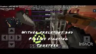 Going to my nether bastion 