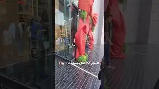 همیلاسنتر📍