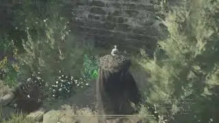 El mejor lugar para hacer ramos de flores Dragon's Dogma 2