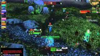 Ender - 90 mistweaver PVP