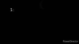 Warrior Cats ausgedachte Zitate