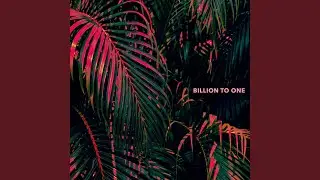 Billion To One