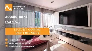 Luxury condo pet friendly, Bangkok Thailand