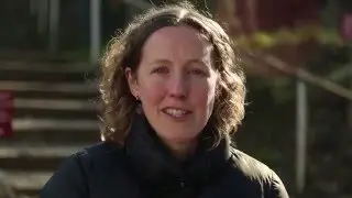 What support does Regen provide community energy?