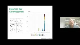 Evolution der &Ouml;dlandschrecken: weltweite Fallstudien -Dr. M. Husemann- 1. Hamburger Insektenwoche