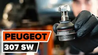 Wie PEUGEOT 307 (3H) Traggelenk vorne wechseln [AUTODOC TUTORIAL]