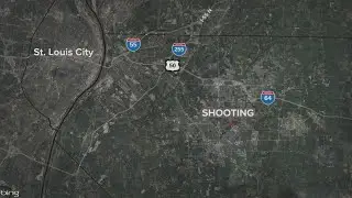 Deputy shoots man who injured relatives with a knife and showed a gun to officers