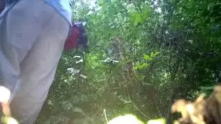 Edging with the homelite mighty light straight shaft weed eater
