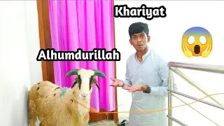 Bakri Eid Vlog || Talking With Sheep 😱 || Eid ul Adha || Hyderabad || Md Unique Entertainment
