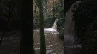 Le Rugissement de la Cascade : Un Spectacle Naturel Apr&egrave;s les Pluies Torrentielles #Nature #Beaut&eacute;