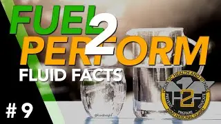 Fuel2Perform - Fluid Facts